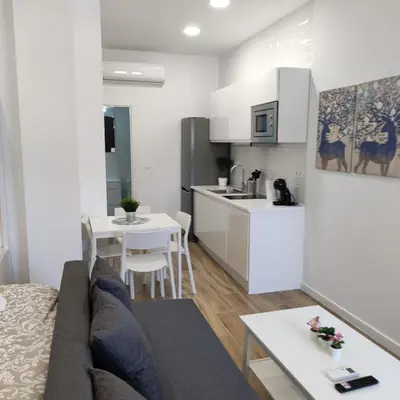 Una cocina o zona de cocina en Manzanares Apartments