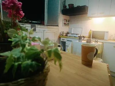 Una cocina o zona de cocina en habitación de 2 camas con 2 ventanas al exterior y TV en casa compartida