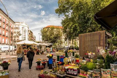 Clientes alojados en Apartamento en Calle Relatores